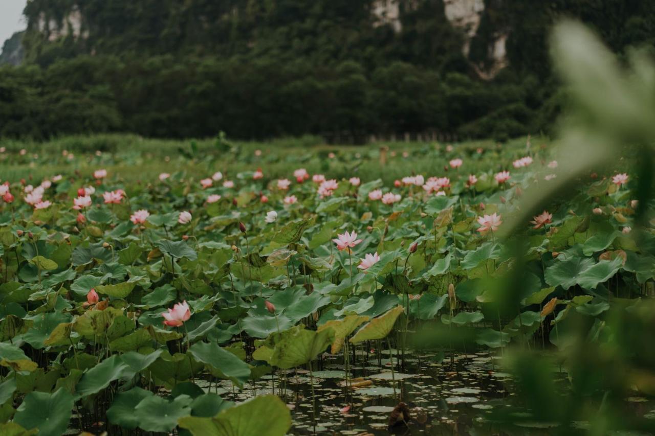 Aravinda Resort Ninh Binh Exterior foto